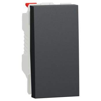  Bouton-pous NO 10A rap 1m Anth 