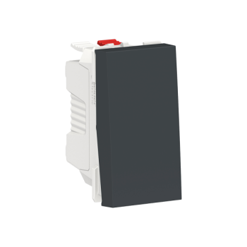  Bouton-pous NO 10A rap 1m Anth 