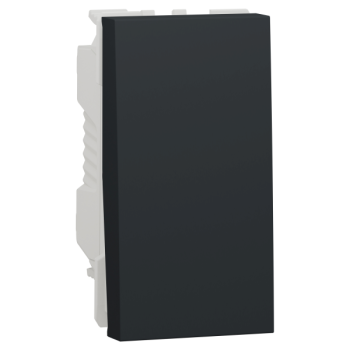  Bouton-p NO/NF 10A rap 1m Anth 