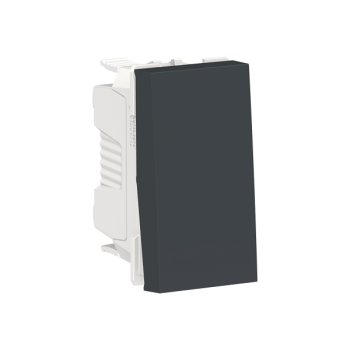  Bouton-p NO/NF 10A rap 1m Anth 