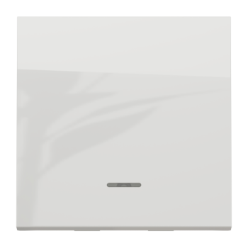  Poussoir lum local 10A 2m Blan 