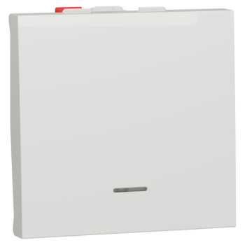  Poussoir lum local 10A 2m Bl A 