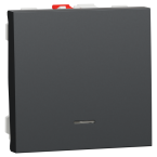  Poussoir lum local 10A 2m Anth 