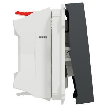  Poussoir lum local 10A 2m Anth 