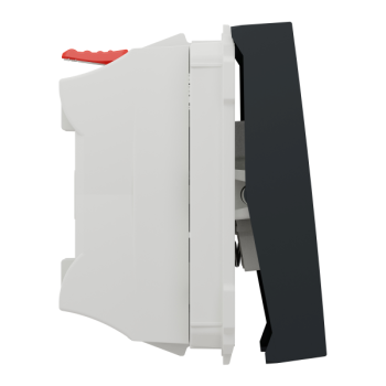  Bouton-pous NO 10A rap 2m Anth 