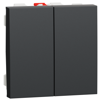  Double v-v 10A rap 2m Anth 