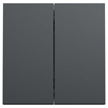  Double v-v 10A rap 2m Anth 