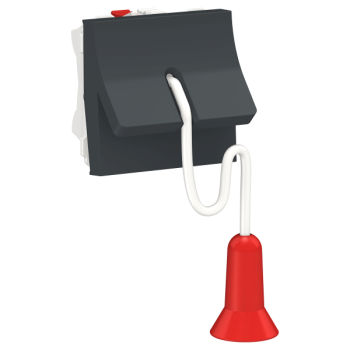  Inter � corde NO/NF 2m Anth 