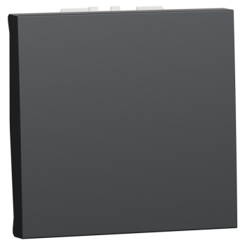  Bouton-p NO/NF 10A rap 2m Anth 