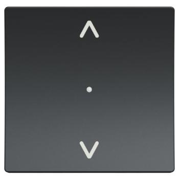  Volet-roulant zigbee anthracit 