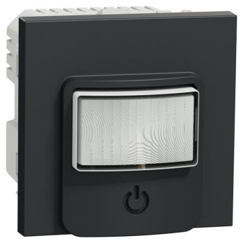  D�tecteur mouv + pous Anth 