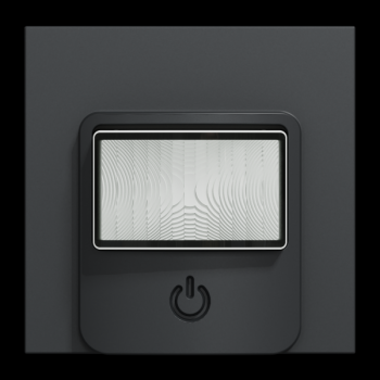  D�tecteur mouv + pous Anth 