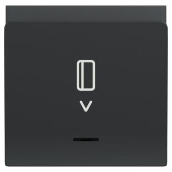  Cde � carte elect 10A 2m Anthr 