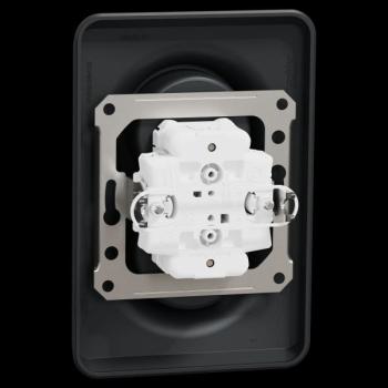  Prise 2x 2P+T FR vis Anth bo1P 