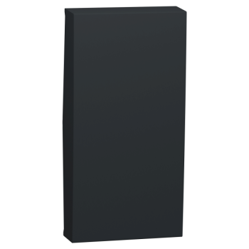  Enjoliv inter/bp 1m Anth 