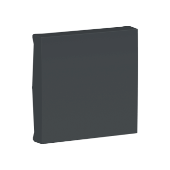  Enjoliv inter/bp 2m Anth 