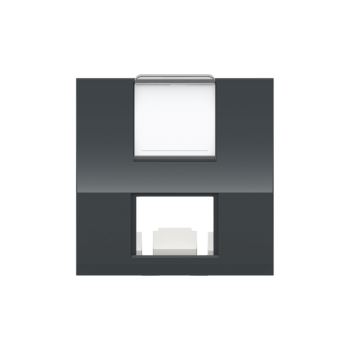  Prise 1 RJ45 S-One inc 2m Anth 