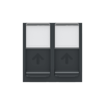  Prise 2 RJ45 S-One 2m Anth 