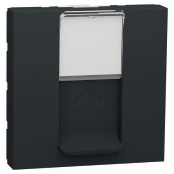  Prise 1 RJ45 Keyst/Syst 2m Ant 