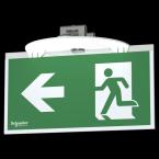  Exiway Smartbeam SATI EVAC 