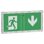  BAES adressabl �vacuation IP42 