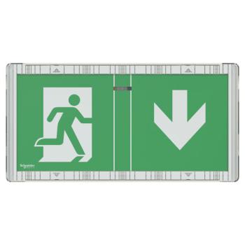  BAES adressabl �vacuation IP42 