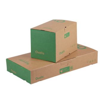  Lot 108 RJ45 Cat6 STP Blanc 