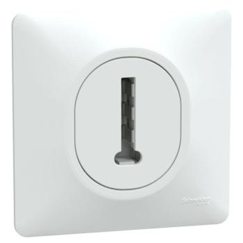  Conjoncteur tel 8P avec plaque 