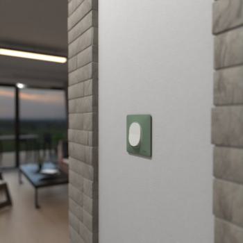  Plaque 1 poste Sauge 