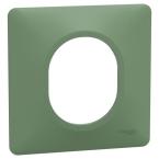  Plaque 1 poste Vert F 