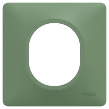  Plaque 1 poste Vert F 