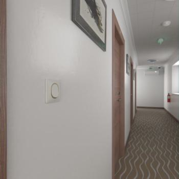  Plaque 1 poste Blanc Laiton 