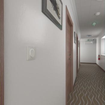  Plaque 1 poste Blanc Argent C 