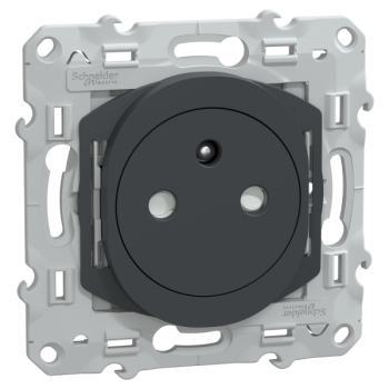  Prise 2P+T affleurante Anth 