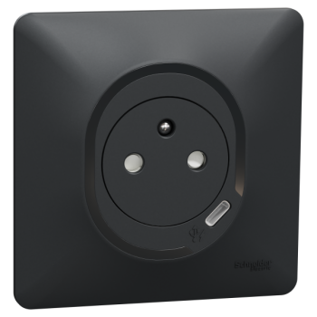  Combi 2P+T affl + USB-C Anth 