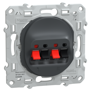  Prise HP 2 sorties Anthracite 