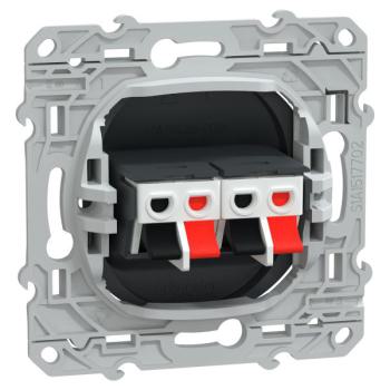  Prise HP 2 sorties Anthracite 