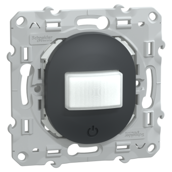  Ovalis d�tecteur mouvement Ant 