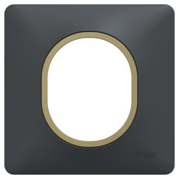  Plaque 1 poste Anthraci Laiton 