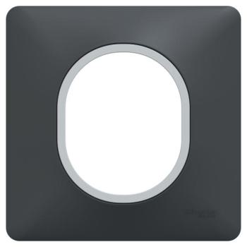  Plaque 1 poste Anth Argent C 