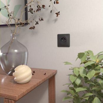  Plaque 1 poste Anthracite 