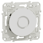  ODACE RONFLEUR BLANC 