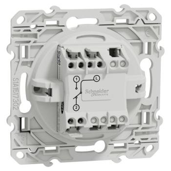  ODACE LOT 100  VV BLC 