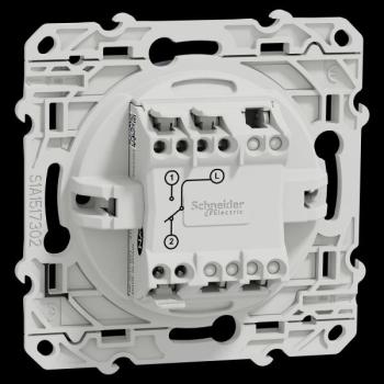  ODACE VV ANTH 10A VIS 