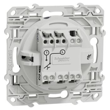  ODACE POUS CARILLON ANTH 