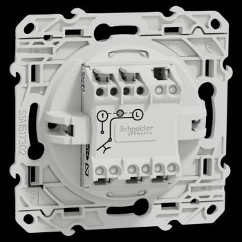  ODACE POUS LUM ANTH VIS 