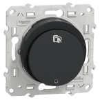  ODACE INTER CARTE ANTH 