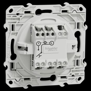  ODACE INTER CARTE ANTH 