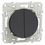  ODACE VV + POUS ANTH 