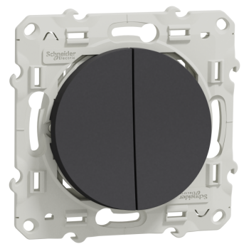  ODACE VV + POUS ANTH 